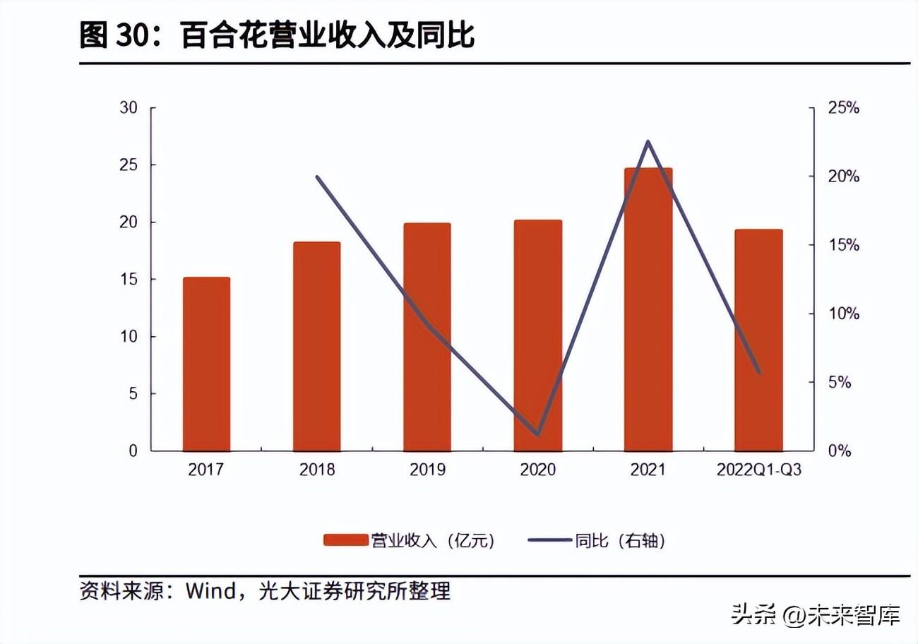 了望智库（钠离子电池材料行业研究）