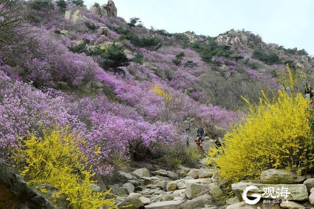 青岛周边郊区旅游，青岛周边郊区旅游景点（跟着十条乡村旅游主题线路）