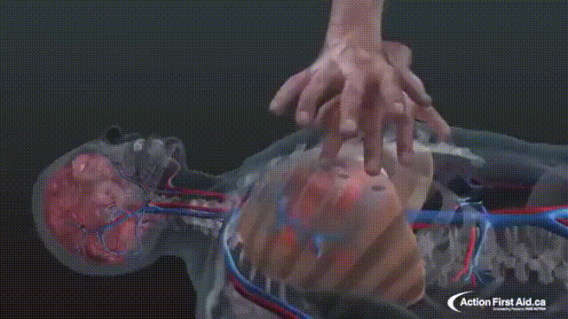 科普知识资料大全，科普小知识大全（45张有科普性动图带我们了解世界的真相）