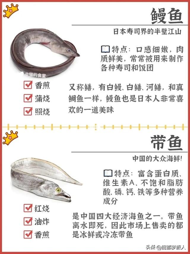 常见的海鱼120种，科普下常见海鱼品种。