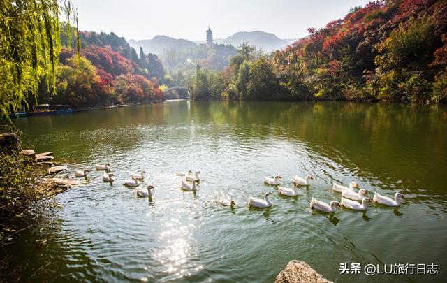 厦门东部最好的小泉城，<内含攻略>厦门11家国有A级景区免门票