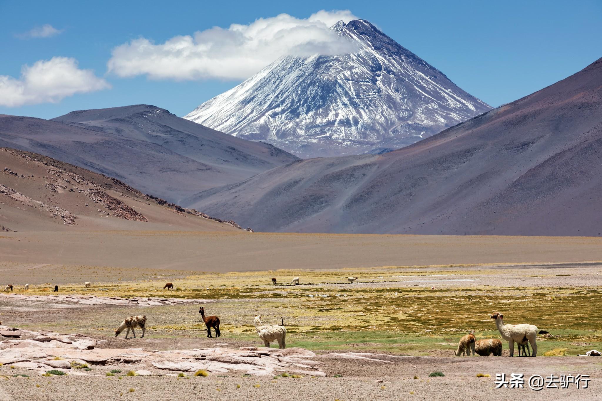 智利在哪个地方，智利是什么地方（智利真是个“宝藏”国家）