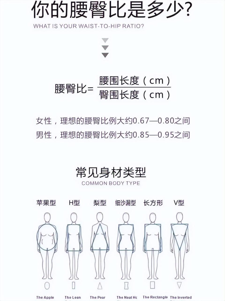 女性腰围对照表cm和尺(女性腰围对照表cm)