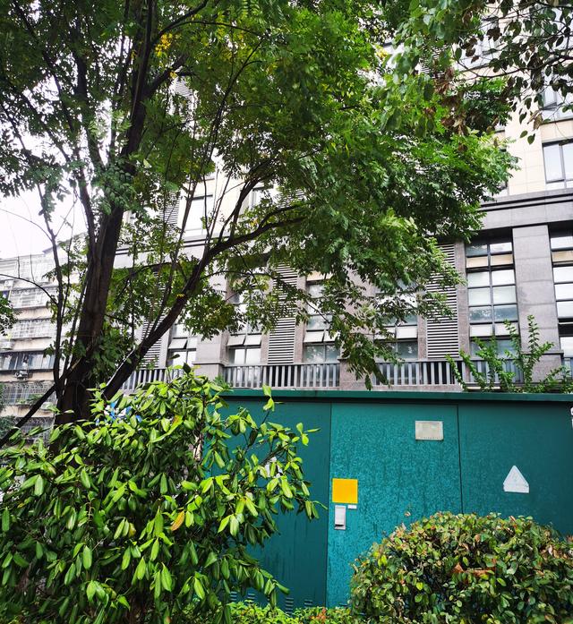 学信网在线验证报告过期怎么办，学信网在线验证报告过期怎么办？学信网在线验证报告过期怎么办（如何获取学籍验证码）