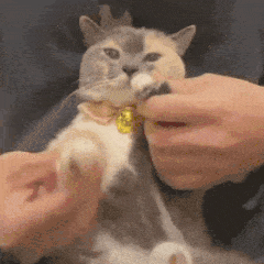 ppt录屏怎么录，PPT如何进行录屏呢（PPT按下这个键）