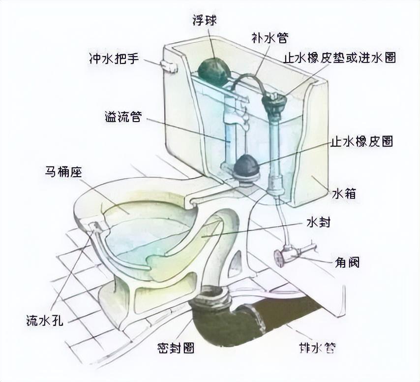 马桶的结构分析图，抽水马桶工作原理图解