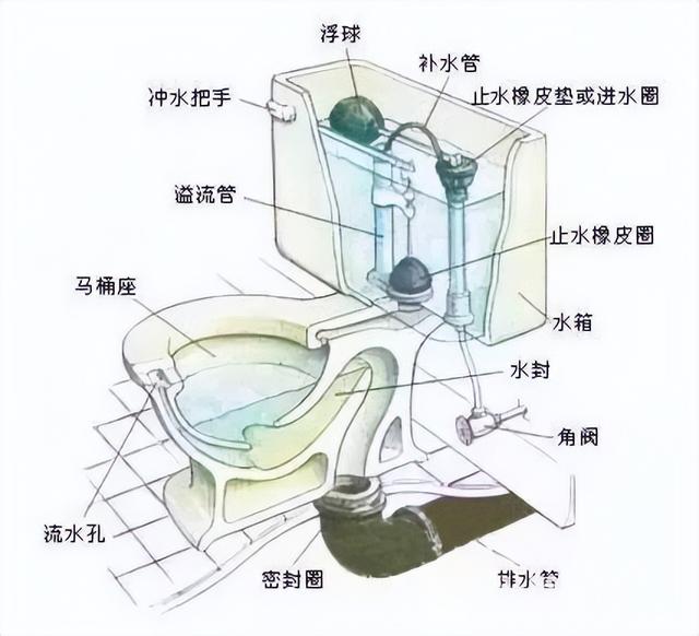 家用马桶如何选择，家用马桶怎么选择最好（来学学该怎么选择适合的马桶）