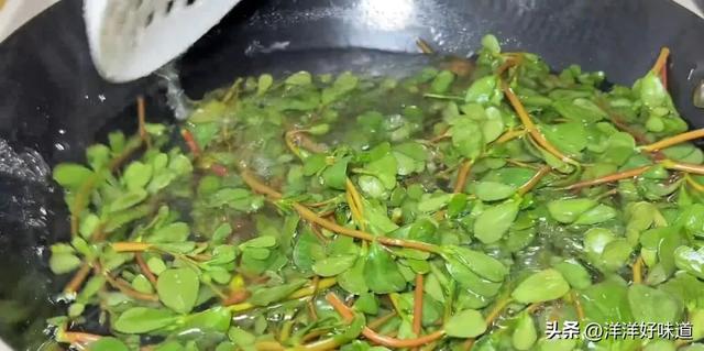 农村的这种野草大家认识吗，老人称“肿瘤草”