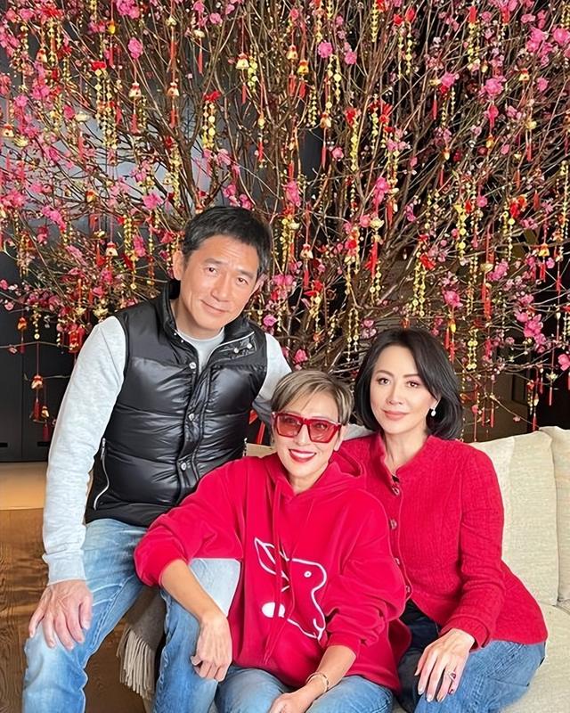 合照和合影有什么区别，和照片合影好吗（刘嘉玲新年晒夫妻合照放闪）