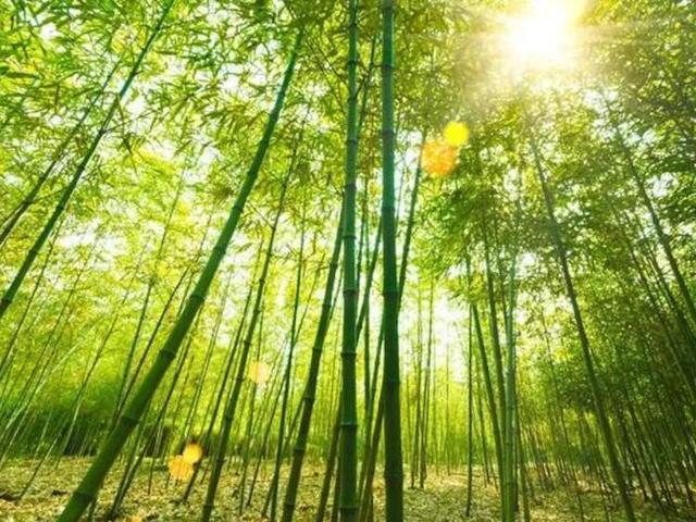 瑞金市旅游景点，江西瑞金市旅游景点排名（江西赣州值得推荐的18个旅游景点）