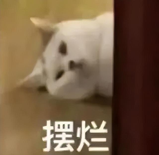 穷穷穷表情包，微信头像，穷穷穷表情包（敷衍的配文）/林芙/（不仅有点傻傻的还很可爱无水印版）