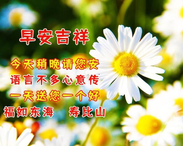 平安顺遂一般送给谁的，平安顺遂什么意思（5月20日周五早安温馨祝福）