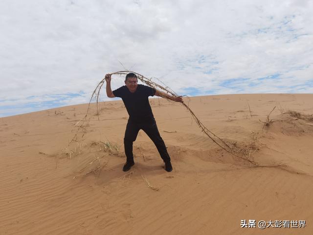 腾格里沙漠攻略，腾格里沙漠旅游攻略（见过腾格里沙漠的一年四季吗）