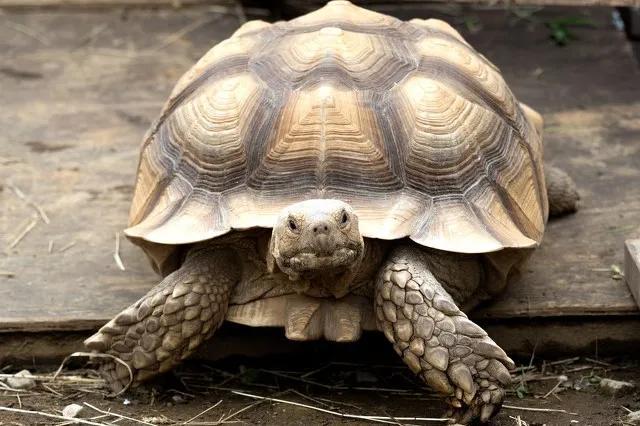 你对汉字有什么理解，谈谈你对汉字的作用的理解（10道题测一测你对汉字的了解程度）