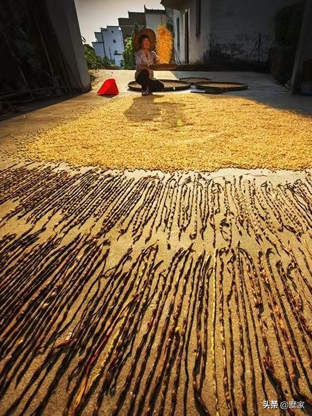游玩攻略江西婺源景区，徽州秋天里的人间烟火