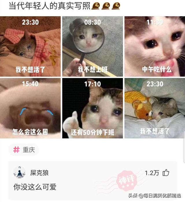 别扒拉我恐龙情侣头像，恐龙情头微信（神回复：这是什么样的古董）