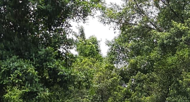 小米手机怎么设置屏幕亮度时间，小米手机怎么设置屏幕亮屏时间（徕卡助力影像巅峰旗舰）