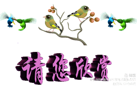 绿色军衣的歌词，绿色军衣歌词（铁十四师战友《辞旧迎新》网上联欢晚会专辑）