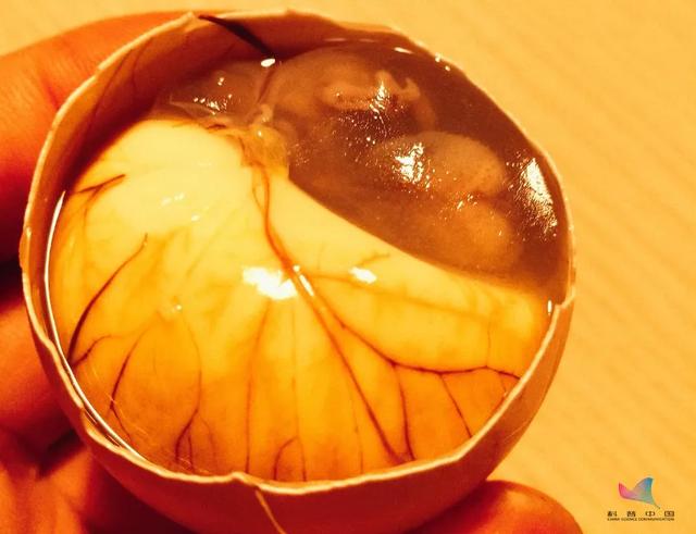 活珠子是什么东西，活珠子是什么东西图片（火爆网络的“活珠子”究竟是啥）