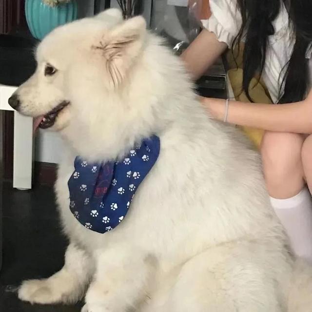 “你回头看看我 我不信你两眼空空”，再多的不舍也要用心割舍你回头看看我（情头，我在你心里留下了什么图片）