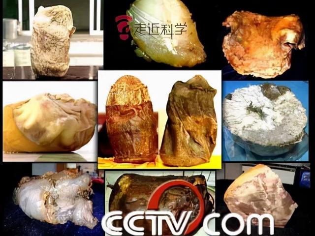 太岁是怎么形成的，化解太岁的三种方法（形成于4万年前、不是植物不是肉）