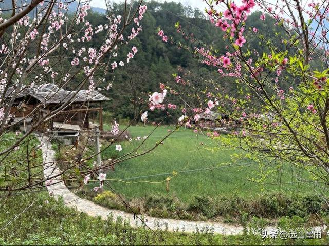 2023怒江行之四：丙中洛到贡山，走进美丽村落秋那桶、雾里村