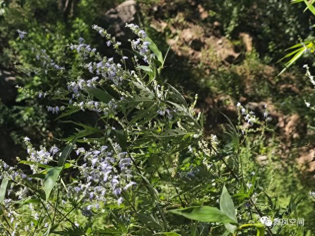 白虎涧，被称为北京后花园，是个探险寻仙的地方