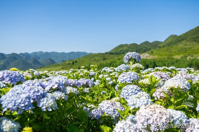 南方值得去旅游的城市，南方适合旅行的城市（我国南方夏天最清凉的五座城市）