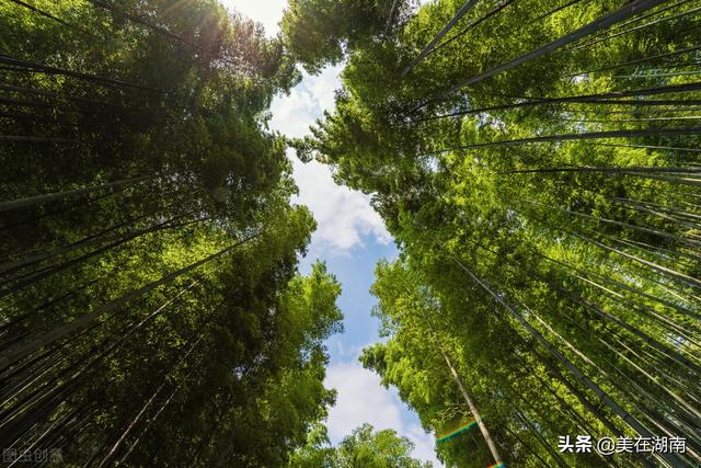衡阳县第一中学，衡阳县一中清北班有几个（2022年湖南部分学校的高考成绩）