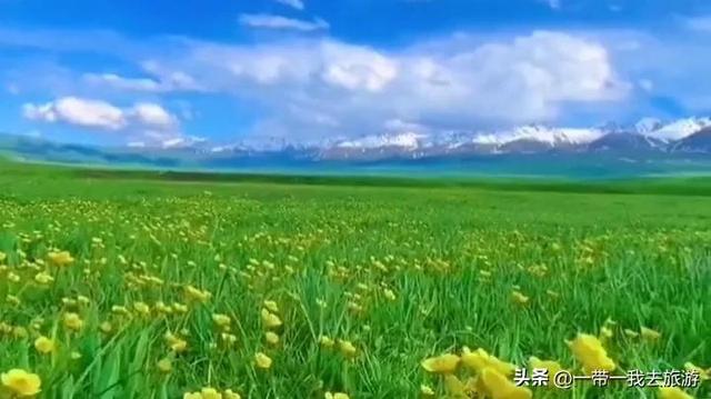 几月份去大草原比较好，七月八月份是草木最茂盛的时候