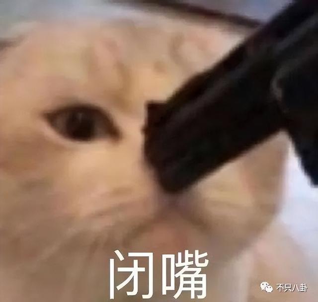 穿过挪威的森林让我走进你梦里，穿过挪威的森林是什么梗（怎么那么多人反对啊）