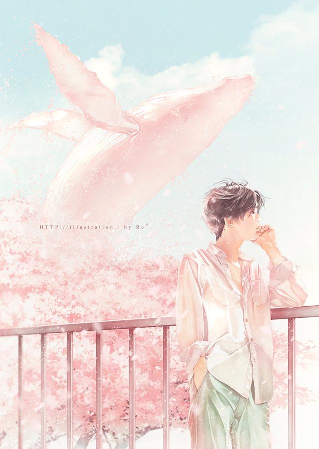 光影美，光影美学概念（淡淡的色彩表达颇具美感图片）