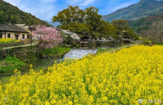 江西婺源最佳旅游景点，无论踏进婺源哪个村庄