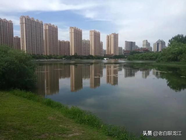 哈尔滨群力湿地公园，群力新区十一大公园