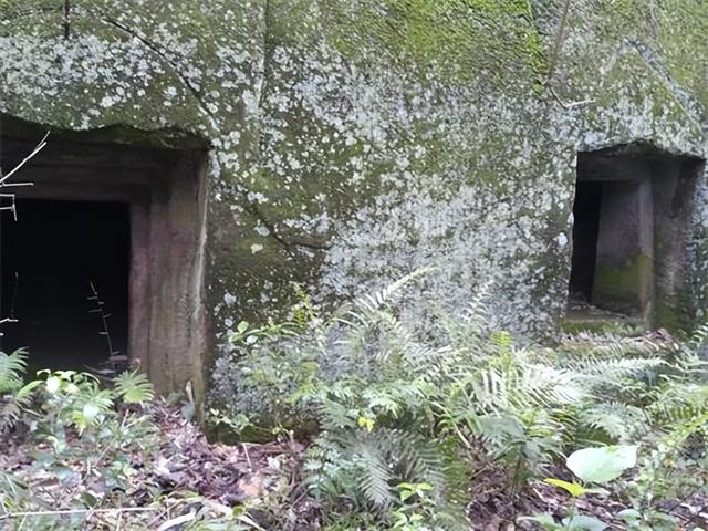 南方人为什么叫南蛮子，南蛮子是什么地方人（湖北、四川、云南、贵州等地的人为什么被称为“蛮子”）