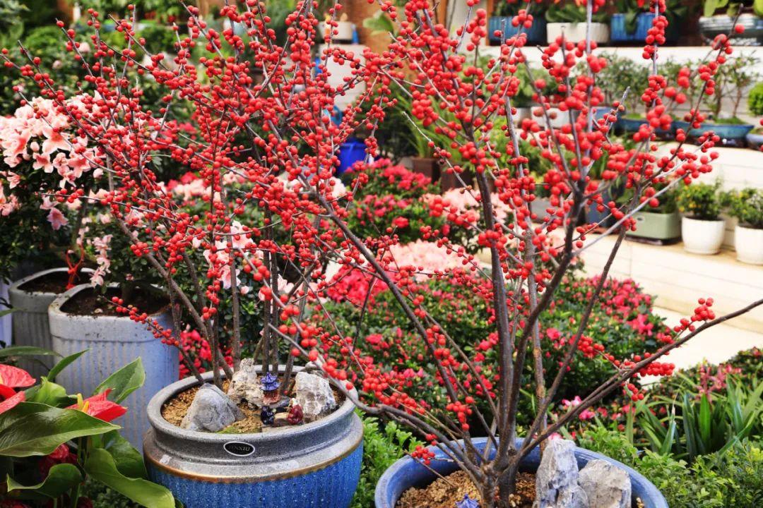 免费鲜花店名字任你选 鲜花店叫什么名字大全