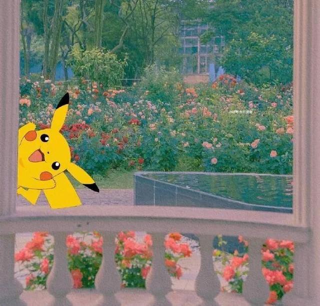 十八岁生日文案，18岁生日成年文案（“十八岁生日文案”）