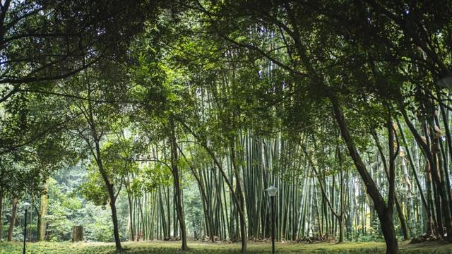 成都游最佳路线，成都周边5条宝藏1日游线路