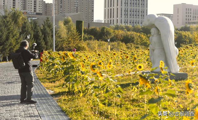 长春市都有哪些公园可以玩，长春市这些文化主题公园你都去过吗