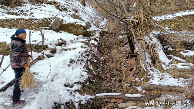 秦岭在陕西哪儿，秦岭在陕西的哪里（每小时都有班车经过的山谷）