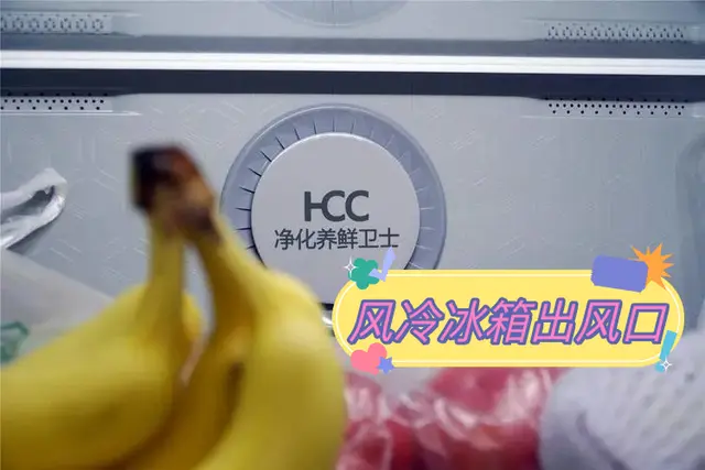 冰箱是风冷无霜的好还是直冷的好，冰箱买直冷的还是风冷无霜的好（才理解到“保鲜”的真谛）