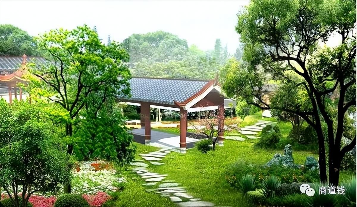 茶叶电商成功的案例（创业8个月卖茶园估值5个亿案例）