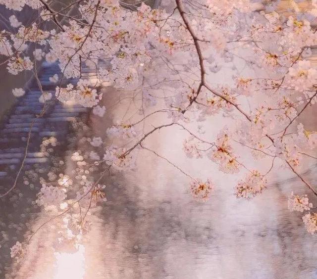 陈奕迅 - 富士山下歌词是什么，陈奕迅有几个孩（《富士山下》——谁能凭爱意要富士山私有）