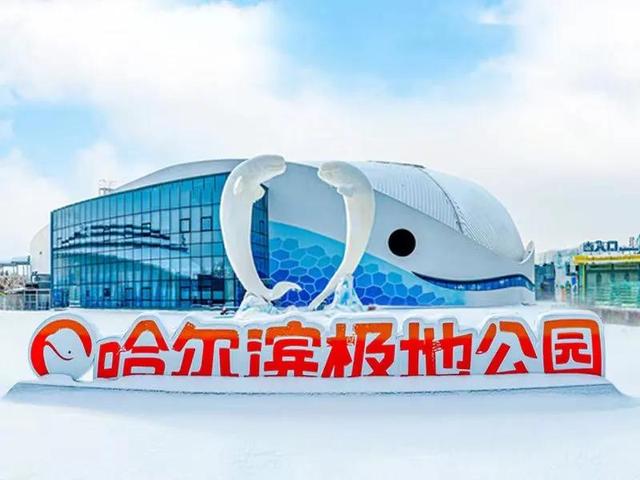 哈尔滨海洋极地馆，哈尔滨极地海洋馆内部（哈尔滨极地公园·极地馆）