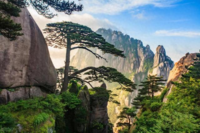 黄山5天跟团游多少钱？白菜价跟团攻略分享~
