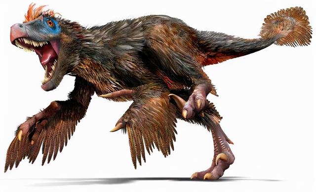 大雁和鹅的区别，大雁和鹅的区别是什么（鹅的真实面貌超出大家的想象）