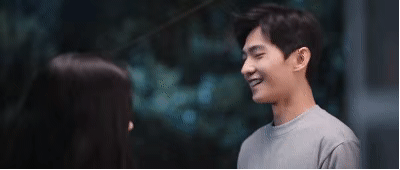 北美大灰狼是什么梗，北美灰狼为什么这么大（嘟嘴索吻、牵手搂抱、时刻黏在一起）