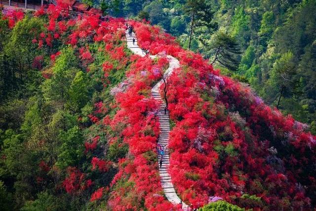 「4月最适合旅游的地方」4月最适合旅游的地方河北周边✅