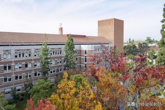 文科有哪些好专业，大学文科有哪些专业就业前景好（我整理出来10个）