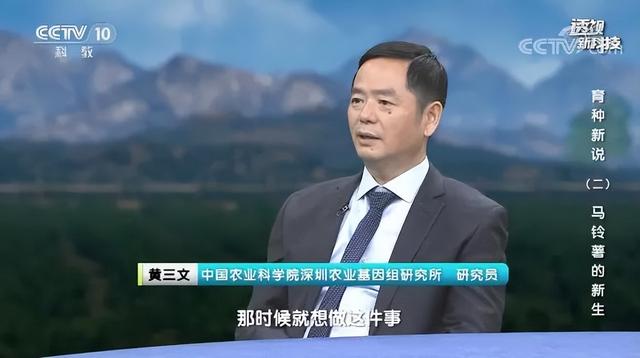 新土豆怎么做种子，从薯块繁殖到种子繁殖